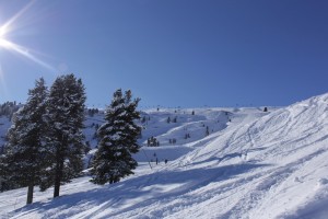 Hochfügen-Hochzillertal skigebied