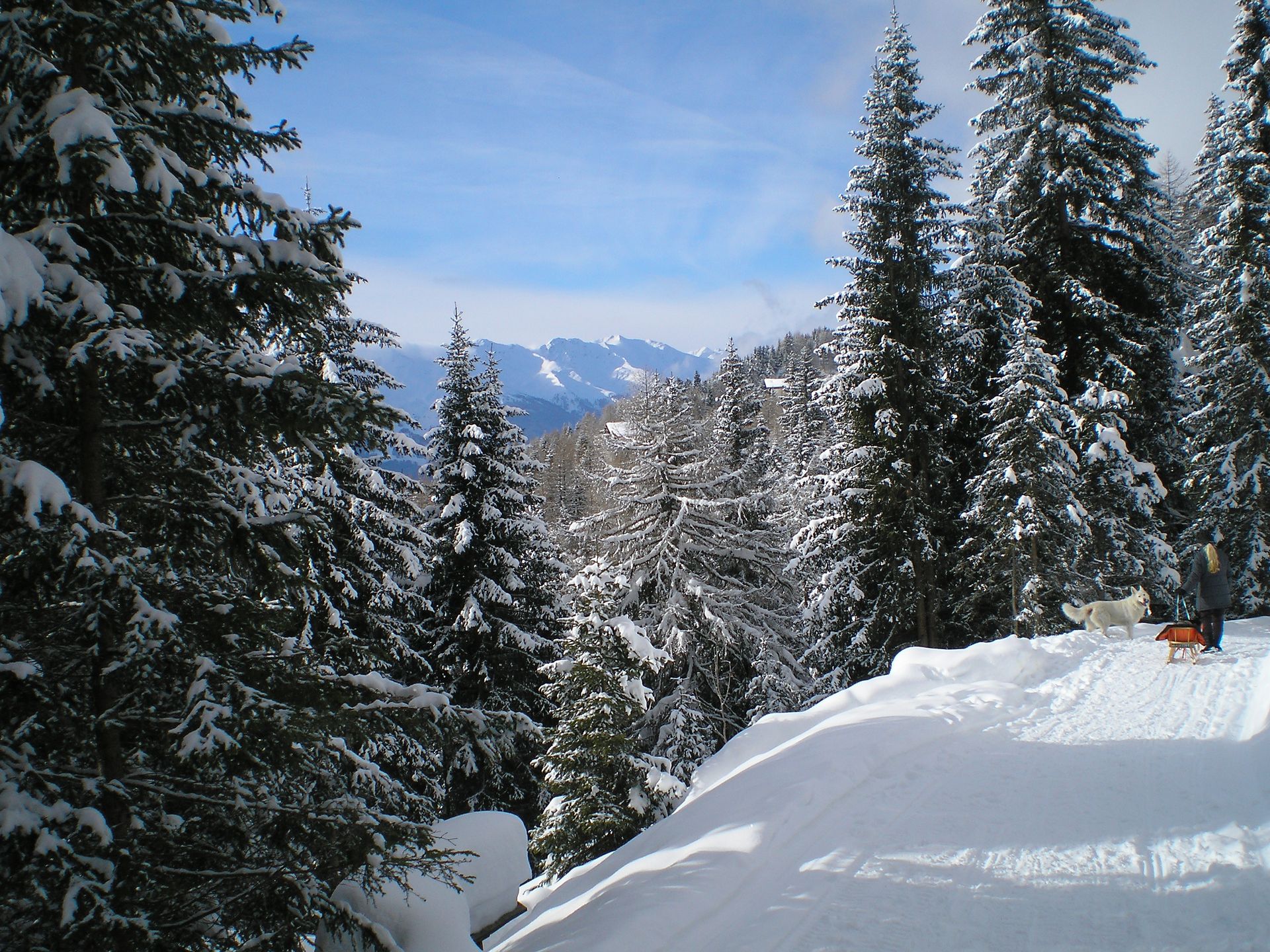 Lienzer Dolomiten