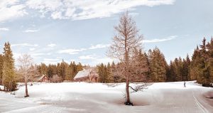 Skigebied wintersport natuur hut
